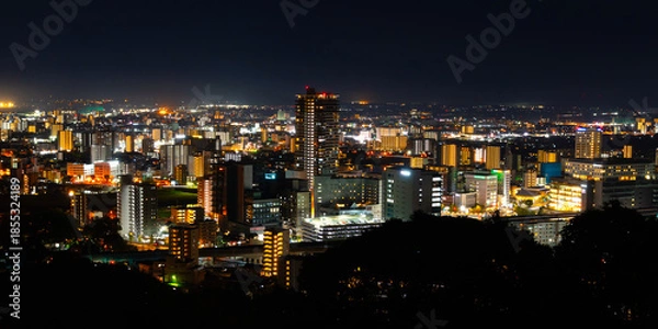 Obraz 熊本・花岡山から望む夜景