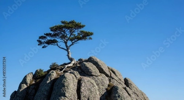 Obraz Lonely tree clings to rocky peak, bright blue sky above
