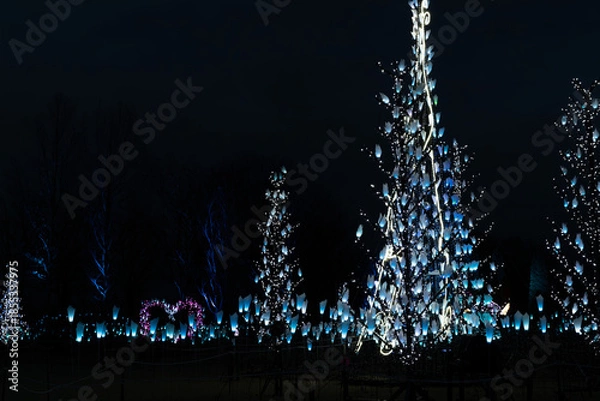 Obraz 冬の夜のイルミネーション