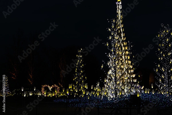 Obraz 冬の夜のイルミネーション