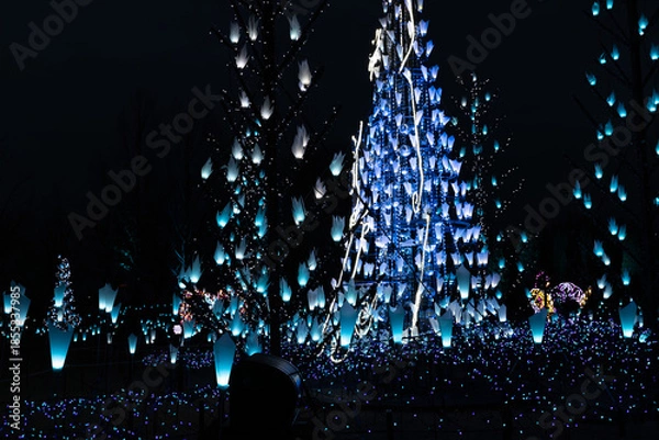 Obraz 冬の夜のイルミネーション