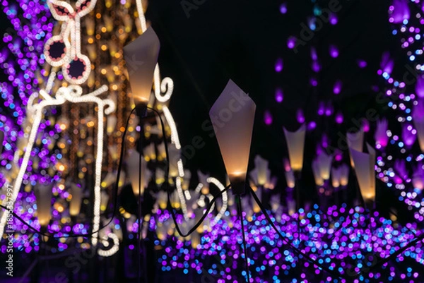 Obraz 冬の夜のイルミネーション