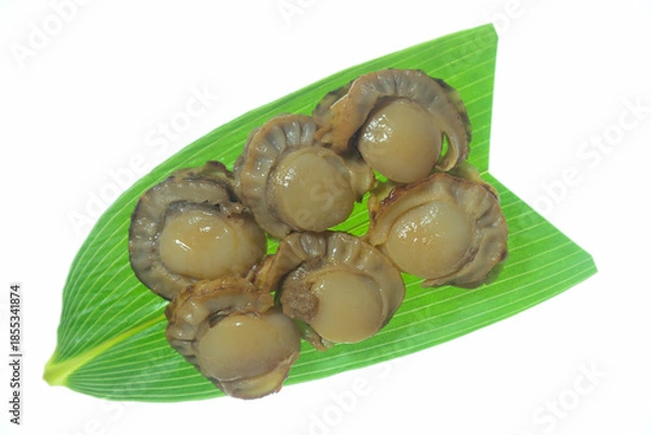 Obraz ベビーホタテ