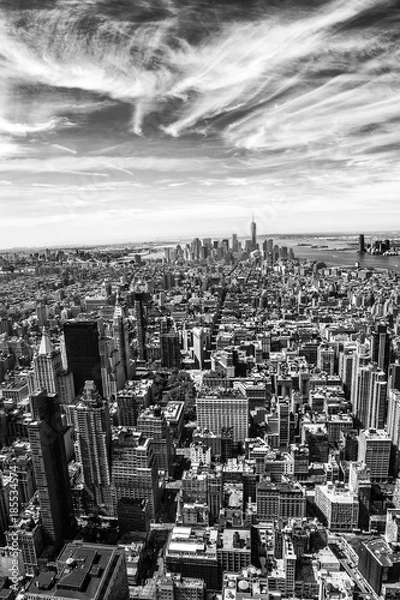 Fototapeta The Big Apple....