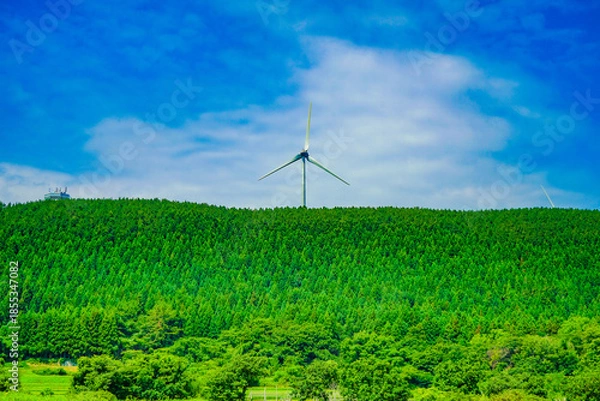 Obraz 青空と森の風車