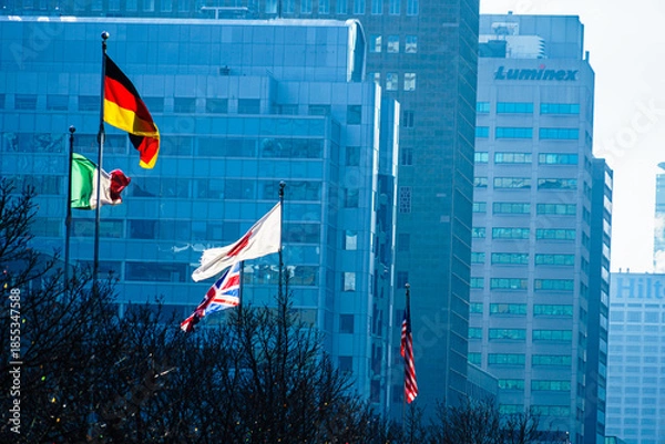 Obraz 青空と多国籍の旗