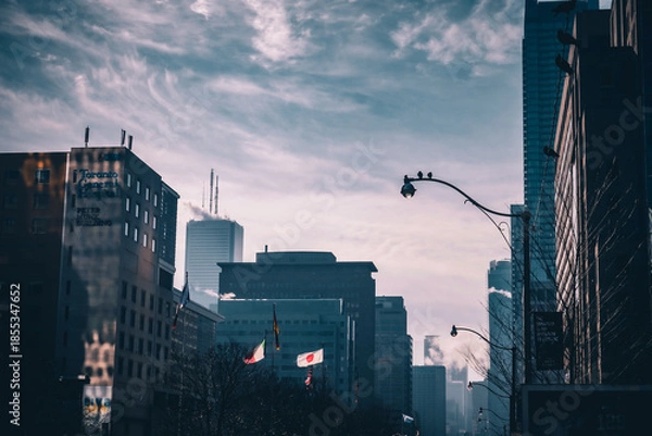 Obraz 曇天の都市と国旗