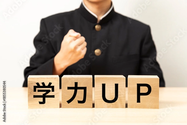 Obraz 「学力UP」と書かれたブロックとガッツポーズをする男子学生