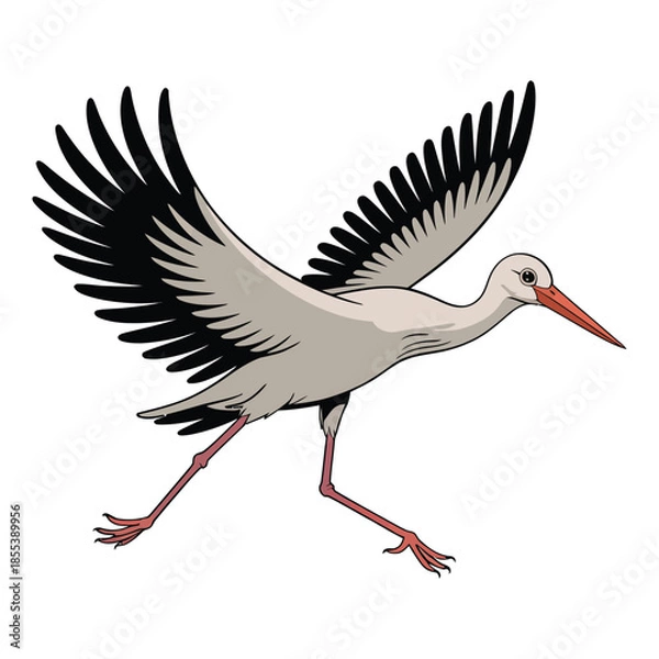 Obraz stork in flight