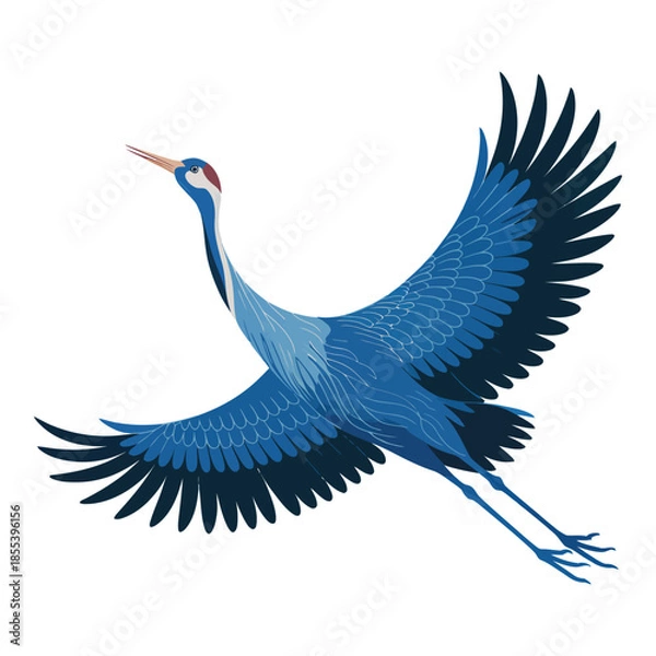 Obraz Blue crane