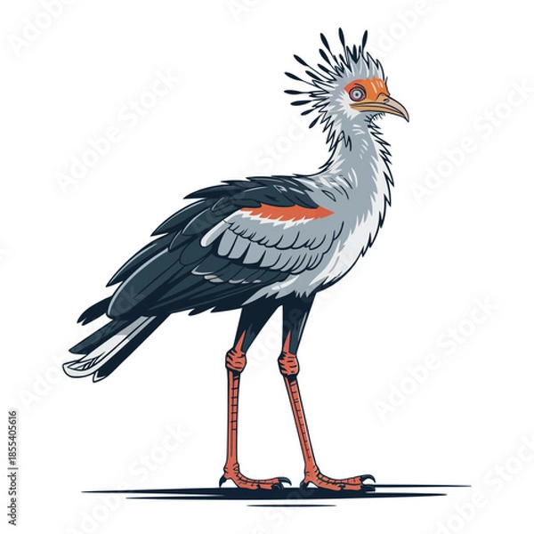 Obraz Secretary bird