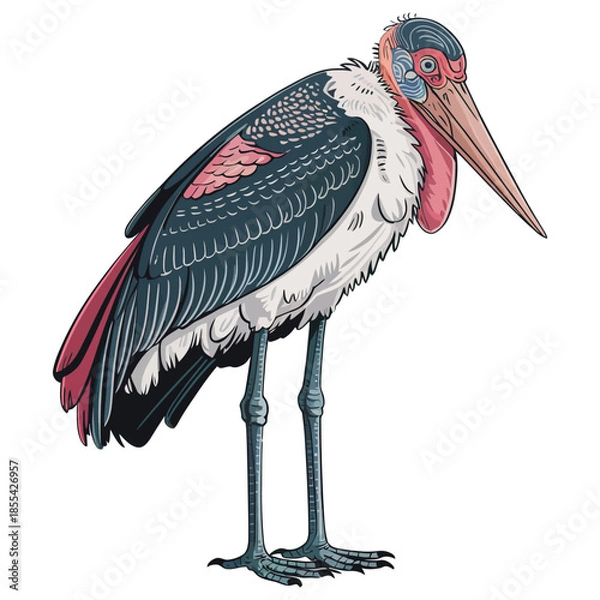 Obraz Marabou stork