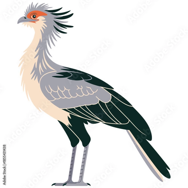 Obraz Secretary bird