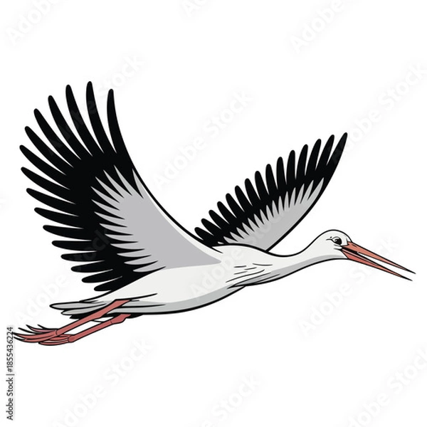 Obraz stork in flight