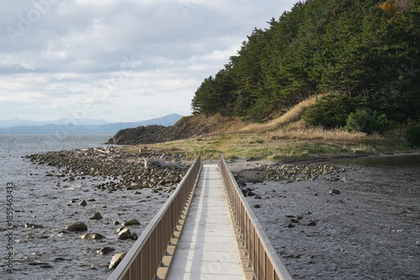 Obraz 青森県_夏泊半島_大島