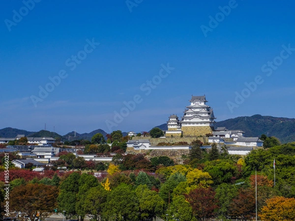 Obraz 【兵庫県】姫路市・姫路城