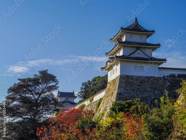 Fototapeta 【兵庫県】明石市・明石城跡