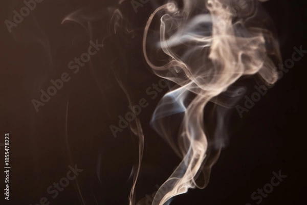 Obraz smoke on a black background. close-up. soft focus