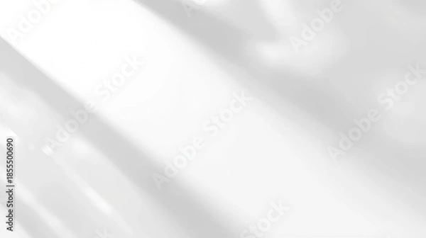 Obraz Minimal White Background with Soft Window Light Shadow