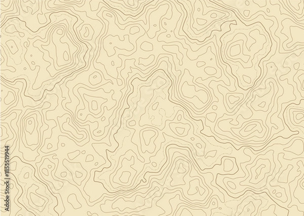 Obraz Beige Sand Topographic Map Contour Lines Vector Background