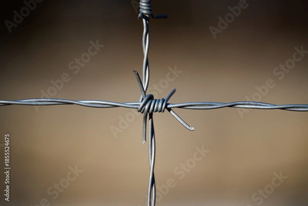 Obraz Detailed Close-up of Sharp Barbed Wire Knot Against Blurred Background