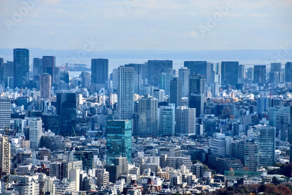 Obraz 東京都庁からの眺望・都市風景（東京都・新宿区）