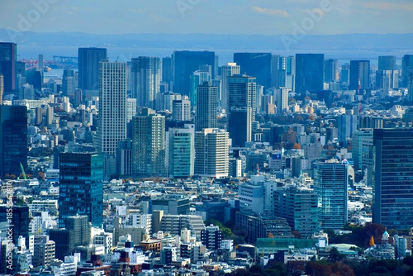 Obraz 東京都庁からの眺望・都市風景（東京都・新宿区）