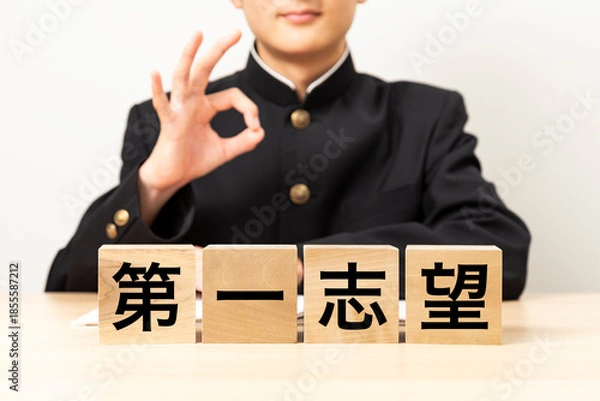 Obraz 「第一志望」と書かれたブロックとOKサインをする男子学生