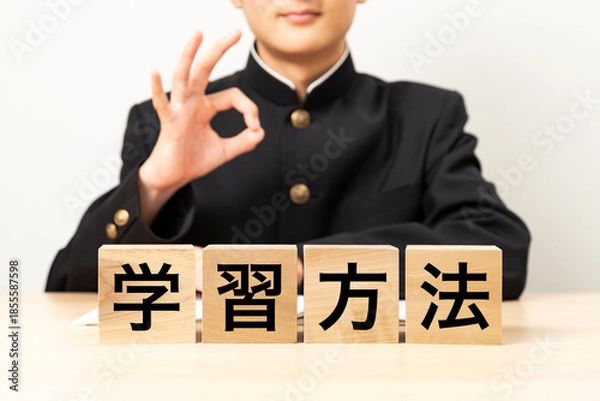 Fototapeta 「学習方法と書かれたブロックとOKサインをする男子学生