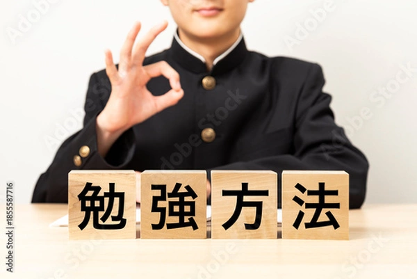 Obraz 「勉強方法と書かれたブロックとOKサインをする男子学生