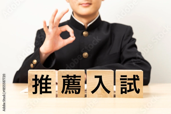 Obraz 「推薦入試」と書かれたブロックとガッツポーズをする男子学生