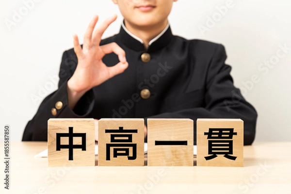 Obraz 「中高一貫と書かれたブロックとOKサインをする男子学生
