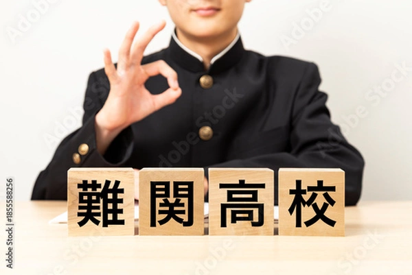 Obraz 「難関高校」と書かれたブロックとOKサインをする男子学生