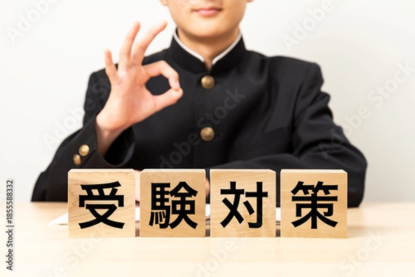 Obraz 「受験対策」と書かれたブロックとOKサインをする男子学生