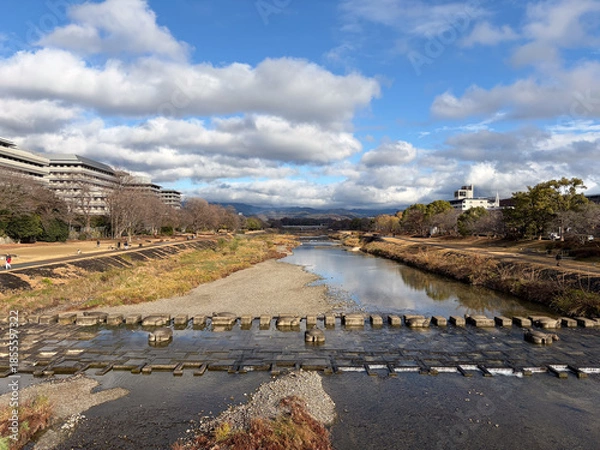 Fototapeta 京都鴨川