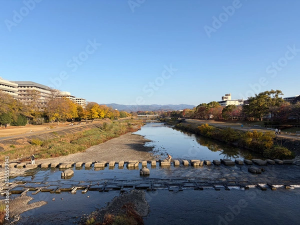 Obraz 秋の朝の鴨川の風景
