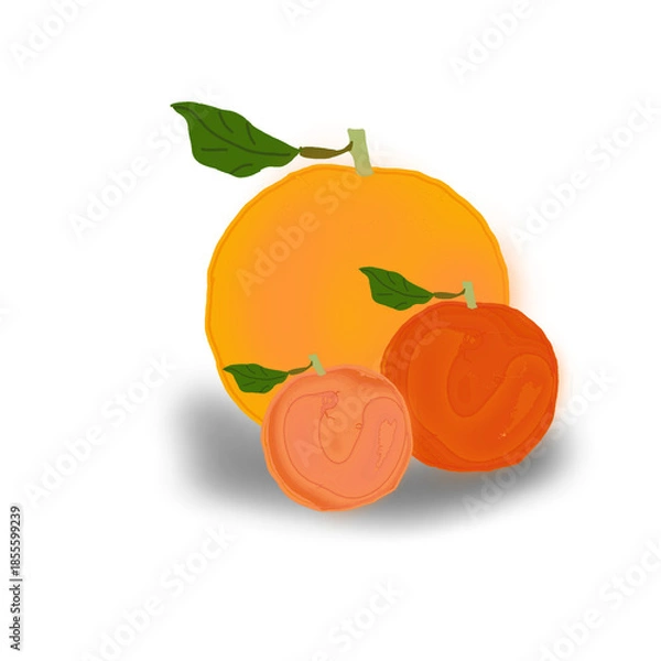 Obraz Oranges isolated on white background