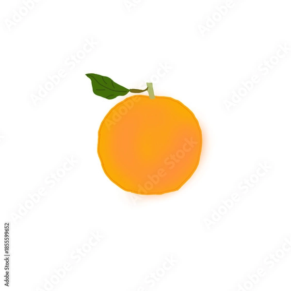 Obraz orange on white background
