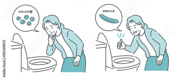Obraz 便の状態比較イラスト（高齢女性・コロコロ便NG vs 理想的な便OK・便秘改善）