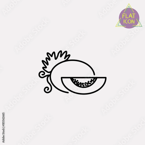 Obraz melon line icon