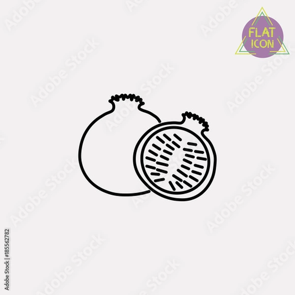 Obraz garnet fruit line icon