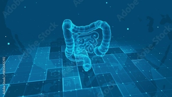Obraz Futuristic Digital Human Intestine Anatomy with Medical Data Interface