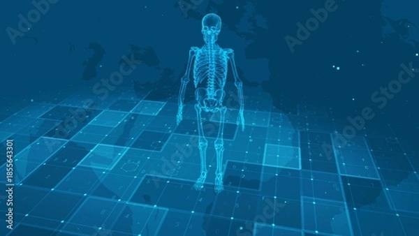 Obraz Futuristic Digital Human Skeleton Anatomy with Medical Data Interface