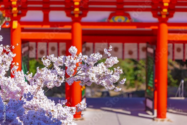 Obraz 神社の桜
