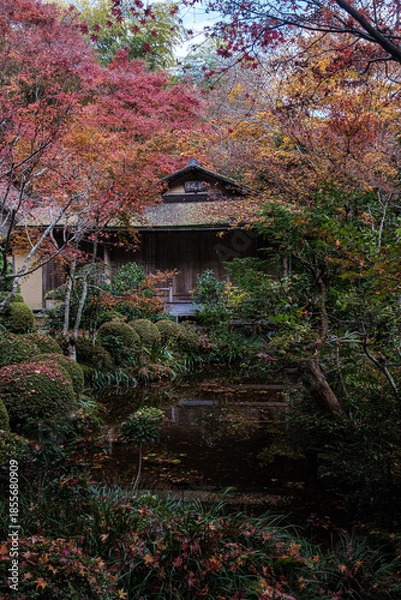 Obraz 京都府大原寂光院落葉の声を聴く庭