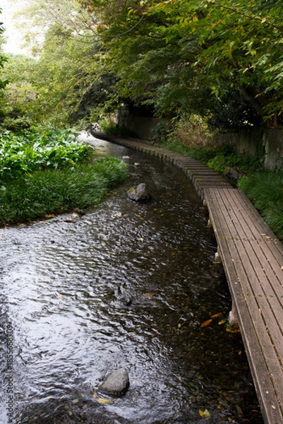 Obraz 散策が楽しい源兵衛川の遊歩道