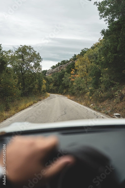 Obraz POV driving view through pine forest road on a sunny day