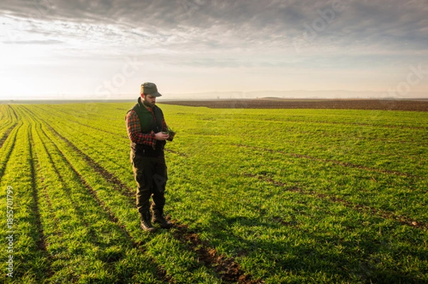 Obraz Young farmer examing planted young wheat