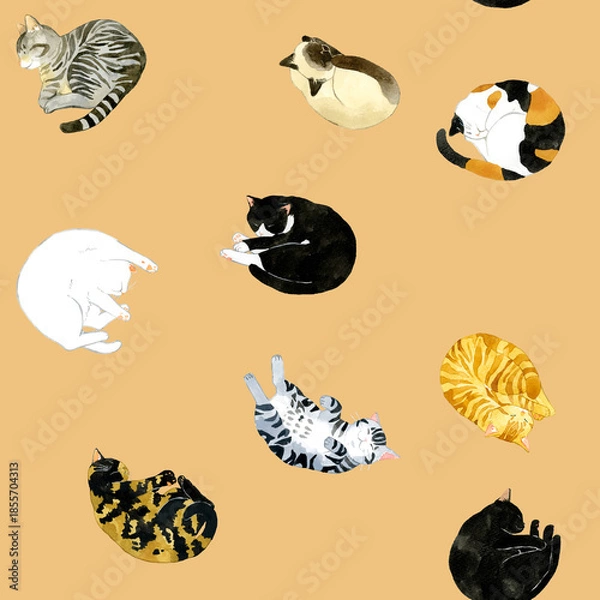 Obraz 眠るかわいい猫のシームレスパターン　動物・ペットの手描き水彩イラスト背景素材