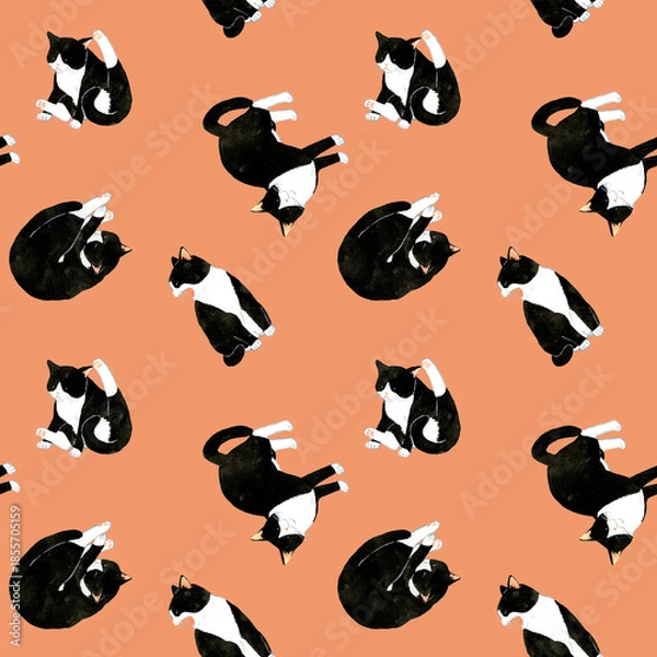 Obraz かわいい白黒ハチワレ猫のシームレスパターン　動物・ペットの手描き水彩イラスト背景素材